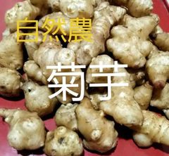 自然農　パワフル菊芋１kg