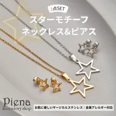 ネックレス ピアス 2点セット スター サージカルステンレス レディース 金属アレルギー対応 星モチーフ シンプル 上品 可愛い 小ぶり 大人 カジュアル ゴールド シルバー プレゼント ギフト 誕生日 記念日 クリスマス メール便送料無料