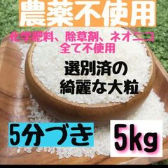 農薬不使用 ヒノヒカリ 5分づき   5kg  白米  さくらの白米