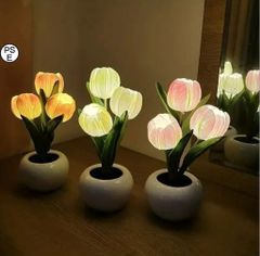 清康熙青釉粉彩タンカ紋梅瓶 景徳鎮 陶磁器 装飾品 現代工芸品