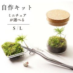 【制作キット】ツールセット/高さ100mm 65mm 苔テラリウム  テラリウム  新生活 入学祝い 歓迎会 送別会プレゼント コウヤノマンネングサ　カサゴケ  自作 作成キットハンドメイド 手作り ギフト インテリア 観葉植物
