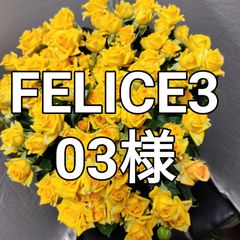 バラ スプレー ４５センチ６０本切花生花