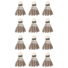 Item thumbnail for item 84547c1c-170b-4c6e-a205-603ee7d5ab26