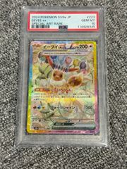 【PSA10】リザードン VMAX #308 GEM MT 10 リザードン VMAX #308 GEM MT 10 リザードン VMAX #308 GEM MT