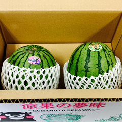 ギフト向き 熊本県産 小玉すいか 2玉  約3キロ Mサイズ以上 特A優品  (001)小玉西瓜  熊本県産 果物 フルーツ ギフト プレゼント用   【バイヤー推奨商品】