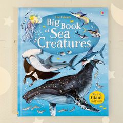 正規輸入新品　The Usborne Big Book of Sea Creatures　英語絵本　英語図鑑　魚図鑑海洋生物図鑑
