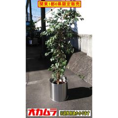 （中古）（関東一部限定販売）プラントボックス付人工樹木 プラントボックス(オカムラ製) フェイクグリーン F-NA-599-0111A