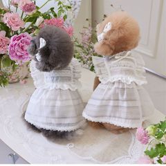 軽やかシフォンワンピース 犬服 春夏 かわいい ワンピ おしゃれ