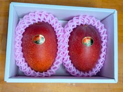 宮崎の太陽をたっぷり浴びて育った完熟マンゴー。内容量】2玉（約700g