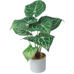 ☆ クラリネルビウム ☆ セメントポット 観葉植物 フェイク 大型 フェイクグリーン アーティフィシャルグリーン インテリアグリーン 人工観葉植物 大きめ 鉢植え ポット 玄関 リビング オフィス 店舗 おしゃれ 新生活 引っ越し ギフト セメントポット