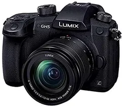 2025年最新】Lumix DC-GH5の人気アイテム - メルカリ