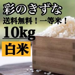 白米　10kg 彩のきずな　新米　埼玉県産　令和5年産　送料無料　米　10キロ