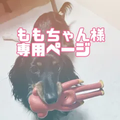 ✦ももちゃん様専用ページ✦