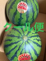 すいか Sサイズ 2個 箱込7キロ程度 千葉県産