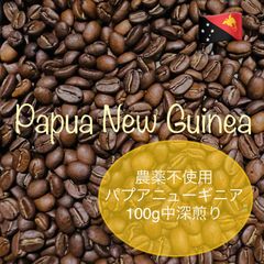 農薬不使用コーヒー豆　パプアニューギニア　100g