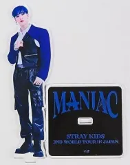 2025年最新】straykids アクスタ バンチャンの人気アイテム