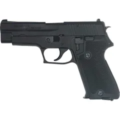 2025年最新】タナカ sig p220の人気アイテム - メルカリ
