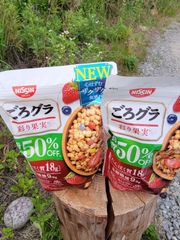 日清ゴログラ　彩り果実