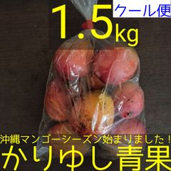 沖縄県産 ミニマンゴー 約1.5kg【クール便】②