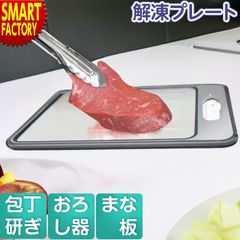 解凍プレート 4WAY 急速解凍 自然解凍 解凍板 まな板 包丁研ぎ おろし器 スピード 肉 魚 刺身 冷凍食品 時間短縮