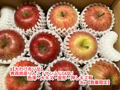 【大わけあり品】青森県産りんご「サンふじ CA冷蔵品」色薄・大キズ・変形・押しキズ有 3kg【数量限定】