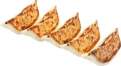 餃子プラモ 1/1スケール 組立て式プラスチックモデル 