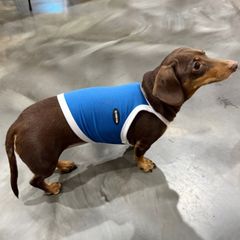 メルカリ ダックス服 接触冷感 ひんやり S M スポーツ クール クロップド タンクトップ 小型犬 中型犬 ダックスフンド  夏 doggystar ドッギースター