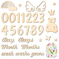 【在庫処分】(羽-30枚) 再利用可能 女の子 男の子 出産祝い 赤ちゃん 成長記録に 新生児 記念日フォト 撮影アイテム 写真道具 寝相アート 月齢カード 小物 ニューボーンフォト 長持ち ベビーマンスリーカッド 30枚セット マンスリーカード 天然木製 月