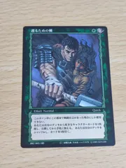 ベルセルクカード護るための剣