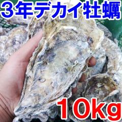 【日時指定可能】送料無料！デカい牡蠣 殻付き 牡蠣 「３年牡蠣 １０ｋｇ」 冷凍便 加熱用 牡蠣 殻付き 牡蛎牡蠣 殻付 宮城県 カキ 牡蛎 BBQ kaki 松島牡蠣屋 かき バーベキュー海産物 貝 貝類 松島牡蠣屋 冷凍牡蠣