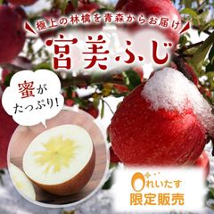 超激レア☆なかののきらめき3kg☆赤果肉りんご☆ラスト - メルカリ