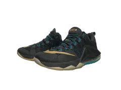 2025年最新】Nike Lebron XIIの人気アイテム - メルカリ