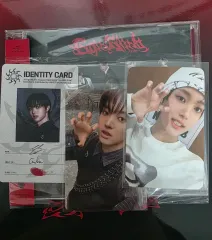 &TEAM(エンティーム) 義州 ゴーインブラインド スタンダード セット