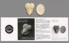 手のひらGKガレージキット 吉沢光正 2025年最新】手のひらGKガレージキットの人気アイテム - メルカリ