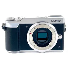 2024年最新】lumix gx7mk2 ケースの人気アイテム - メルカリ