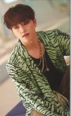 SEVENTEEN FACE THE SUN DINO トレーディングカード UMS入場