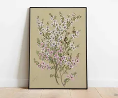 ♡130種♡フランスアンティーク植物標本ボタニカルブロカント