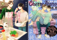ちぇりまほ 1〜11巻と特装版ブックレット5冊 ちぇりまほ 1〜11巻と特装版ブックレット5冊