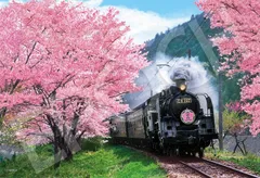日本風景 ジグソーパズル 桜と大井川鐵道ー静岡 （26×38cm） 300ピース 28-046s のり付き ヘラ付き エポック社 点数券付き EPOCH