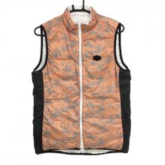 Item thumbnail for item 760f39c1-f2e2-49c2-8fb7-2a42bf0a9802