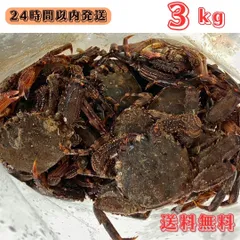 冷凍カメノテ5000g  石鯛　黒鯛　コブダイ　釣り餌 2025年最新】石鯛 冷凍餌の人気アイテム - メルカリ