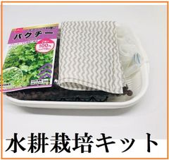 水耕栽培キット　パクチー　初心者向け　家庭菜園　自家栽培