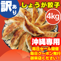 《沖縄専用》【数量限定】【訳ありしょうが餃子 4kg】 1kg×4袋 冷凍餃子 工場直販 水餃子 鍋 蒸し餃子