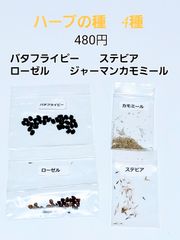ハーブの種　4種セット　　480円