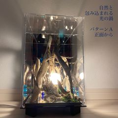 白夜　BOX T02　LED　流木アート　インテリアアクリルBOX 　流木らいと