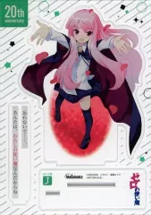 2025年最新】ルイズ・フランソワーズ・ル・ブラン・ド・ラ