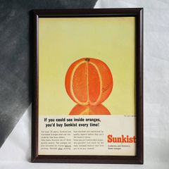 『 サンキスト 』ビンテージ 広告　60年代　フレーム 付 ポスター 当時物