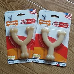 ナイラボーン イヌ用 ウィッシュボーン Y字 小 レギュラー  2個セット Nylabone dog 犬用噛むおもちゃ 歯磨き