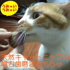 Item thumbnail for item 2f2e1275-2578-4a95-92ab-1b832e62a87d