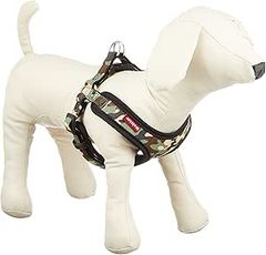 Item thumbnail for item 799e79cd-d6d7-48f9-97d7-0eb378086186